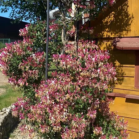 Izerski Poranek Vakantiehuis