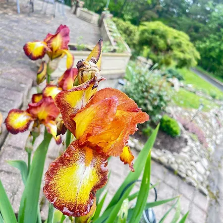 Vakantiehuis Izerski Poranek