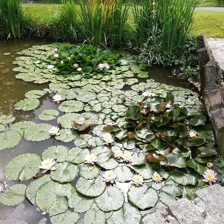 Izerski Poranek Vakantiehuis Gryfów Śląski
