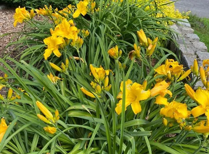 Holiday home Izerski Poranek