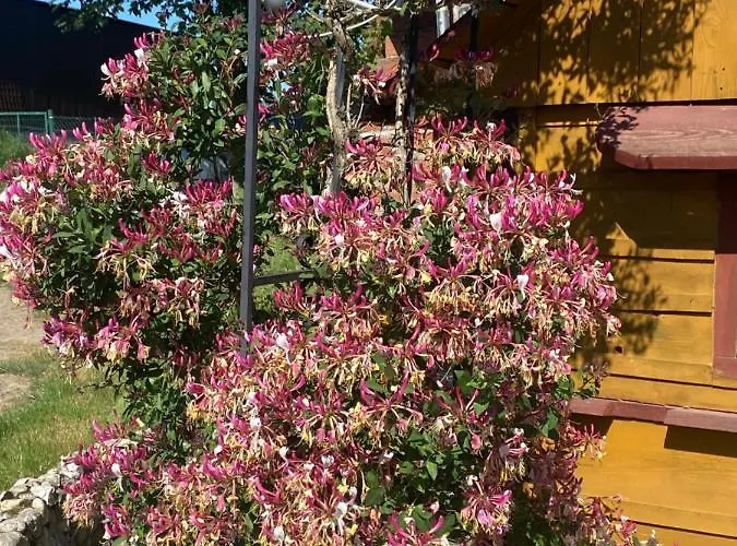 Izerski Poranek Holiday home