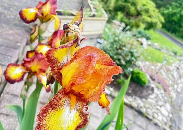 Holiday home Izerski Poranek