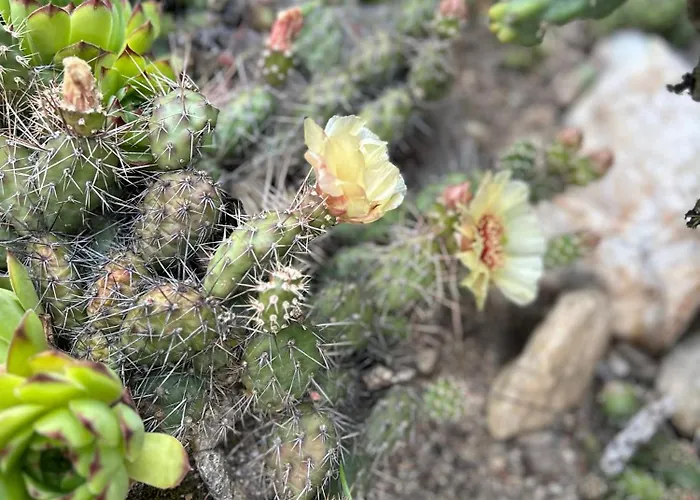 Holiday home Izerski Poranek *