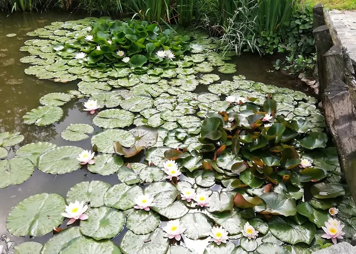 Izerski Poranek Holiday home Gryfow Slaski